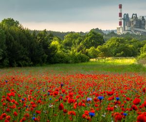 Gmina Nowiny - najbogatsza w Świętokrzyskiem