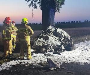 Auto uderzyło w drzewo i stanęło w płomieniach! Kierowca nie miał szans 