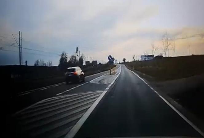 Łamał przepisy na oczach policjanta. Nawet po służbie nie miał litości