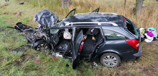 Siedem osób rannych, lądowały trzy śmigłowce. Wypadek pod Lesznem [FOTO]