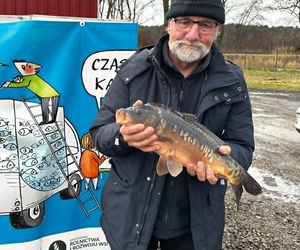 Hodowca z naszego regionu od 25 lat słynie z najlepszych karpi