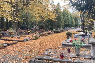 Poznaniacy powoli przygotowują się na 1 listopada. Czy cmentarze są gotowe na Wszystkich Świętych?