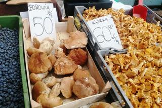 Ile kosztują grzyby w Krakowie? Ceny na targowiskach przyprawiają o zawrót głowy