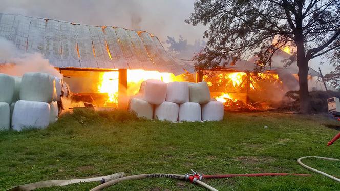 Wielki pożar w Małopolsce. Spłonęło bydło i pies