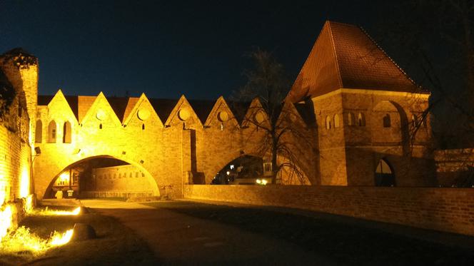Zamek krzyżacki w Toruniu