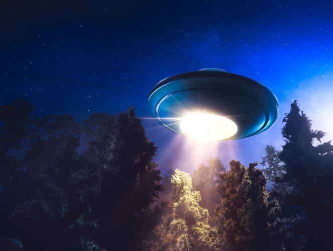 Sprzedają zdjęcia z katastrofy UFO za milion dolarów