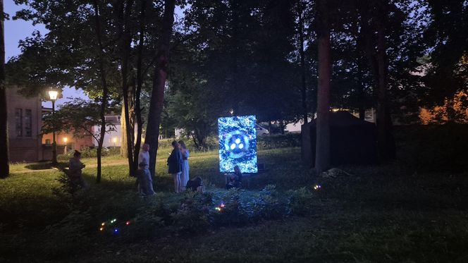 Olsztyn zamienił się w magiczną krainę. Park Świateł przyciągnął tłumy!
