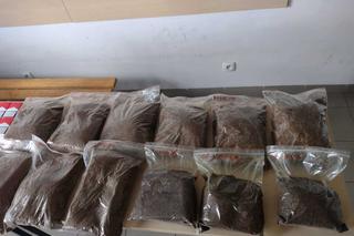 Kobieta usłyszała zarzuty