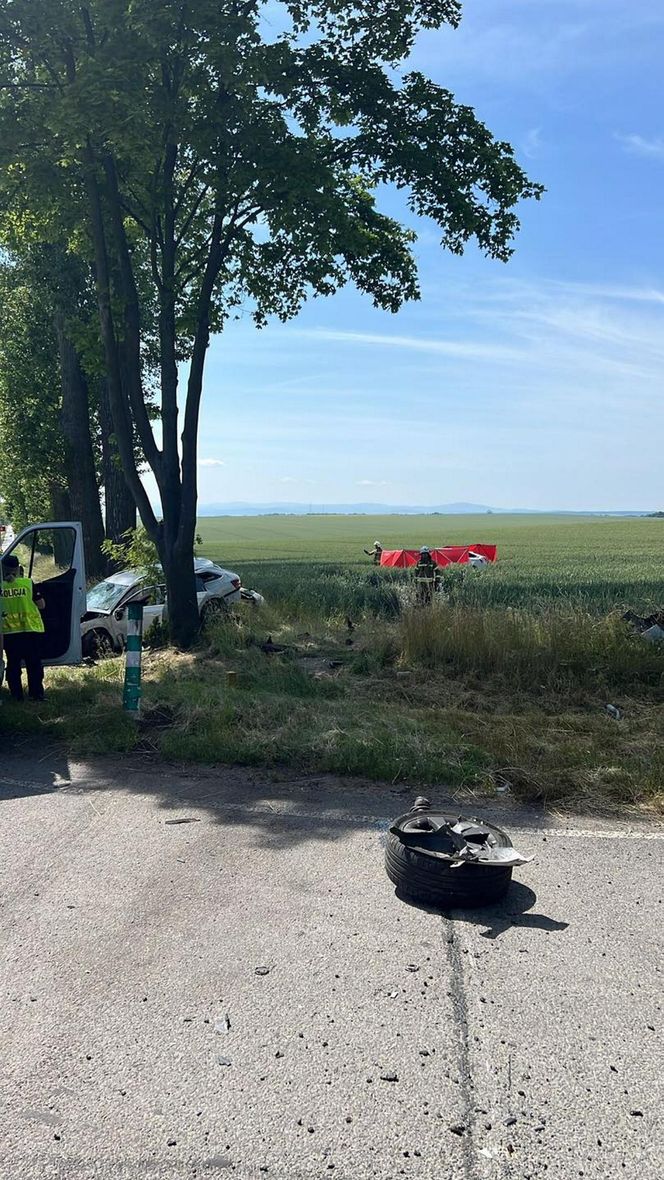 Śmiertelny wypadek na DK 38 pod Kędzierzynem-Koźlem. Policja ujawniła wstępną przyczynę tragedii [ZDJĘCIA].