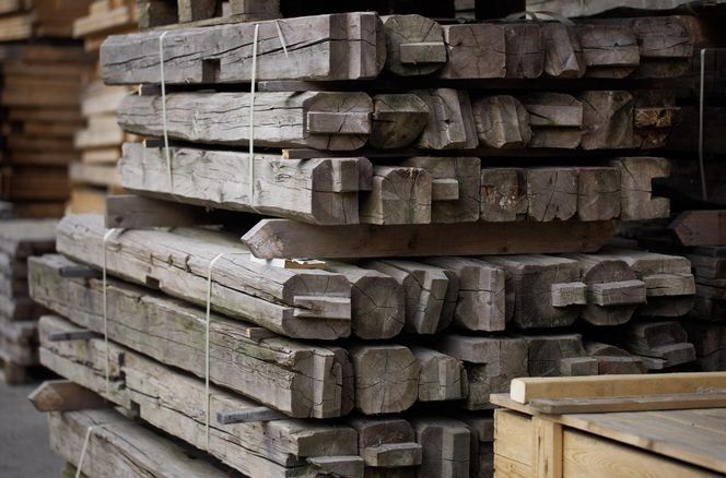 Pawilon projektu Toma Svilansa x THISS Studio