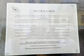 Pierwsza w Rzeszowie kocia kawiarnia już działa! Poznajcie kociaki z Kotłowni