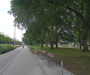 Park centralny w Gdyni. Atrakcje dla dzieci i dorosłych