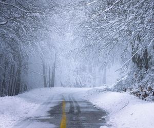 Potężny kontratak zimy! Śnieżyce powrócą szybciej, niż myślisz. Eksperci łapią się za głowy