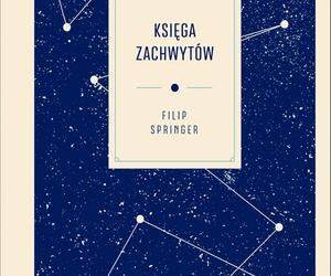 Filip Springer, Księga zachwytów