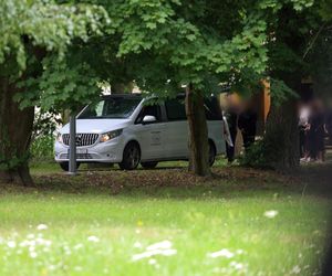 Rodzinny horror w dawnym tartaku