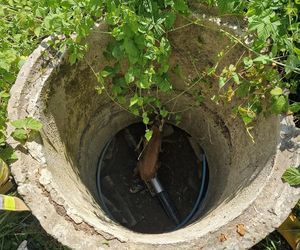 Druhowie z Iwonicza uratowali sarenkę. 