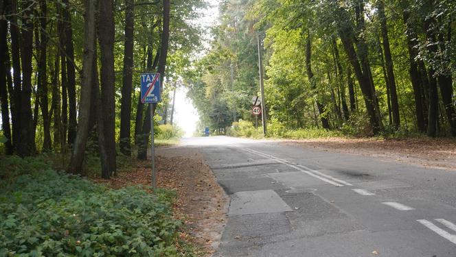 Nowe miejsce rekreacji dla olsztynian. Kierowcy mogli się zdziwić, wjeżdżając w tę popularną ulicę [ZDJĘCIA]