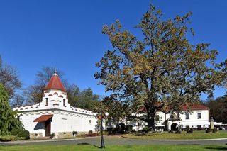 Dubiecko to najmniejsze miasto na Podkarpaciu
