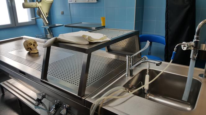 Drzwi Otwarte w Collegium Medicum UMK