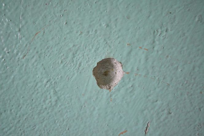 Pięć lat od tragicznej strzelaniny pod Płońskiem. Zabił byłą żonę, ranił jej kochanka i strzelił sobie w głowę