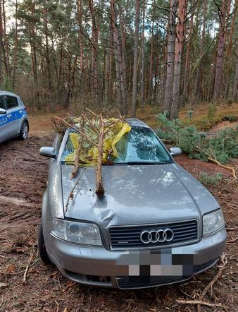 Auto 44-latka ukryte w lesie