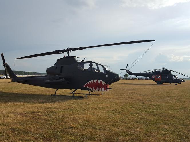 Dziś ostatni dzień pokazów lotniczych Antidotum Airshow Leszno