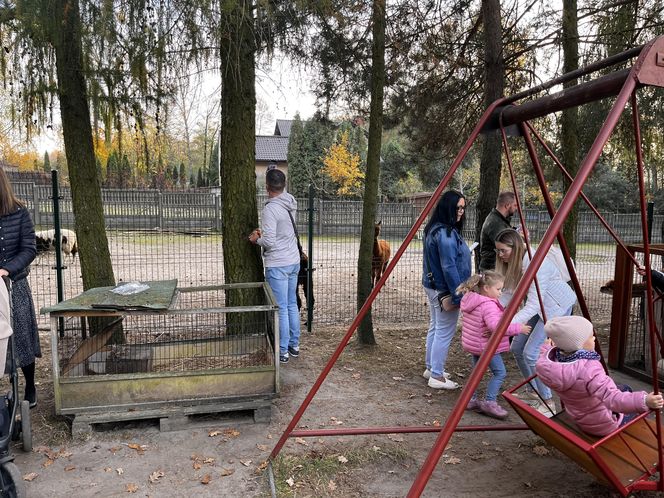 Zagroda 3 siostry w Kamieniu przyciągnęła całe rodziny w ciepły jesienny weekend ZDJĘCIA