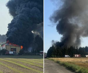 Pożar koło Ciechocinka. Dym widoczny z Torunia! Kolejni strażacy jadą walczyć z żywiołem