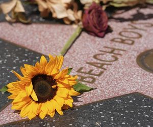 Brian Wilson nie żyje! Odeszła legenda muzyki lat 60