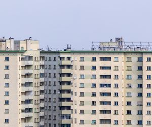 Czy można kogoś wymeldować bez jego zgody?