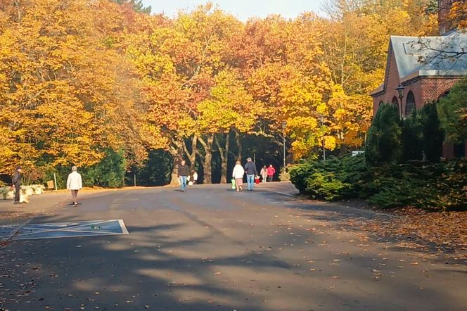 Przygotowania do 1 listopada na Cmentarzu Centralnym w Szczecinie