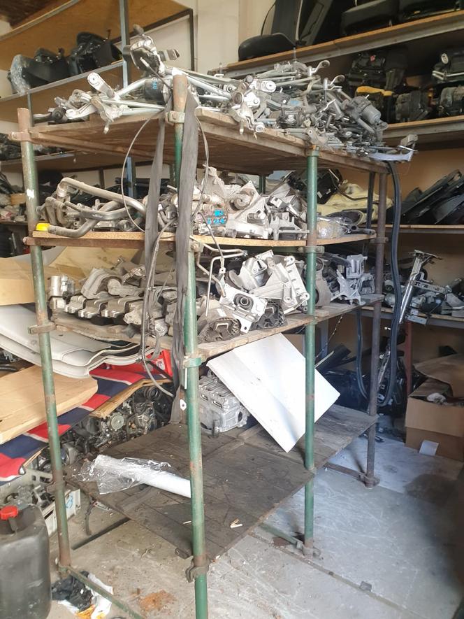 Złodzieje samochodów GRASOWALI w Wielkopolsce! Mieli ulubiony model auta