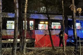 Tragedia w Wawrze! Pociąg SKM potrącił pieszego. Nic nie dało się zrobić