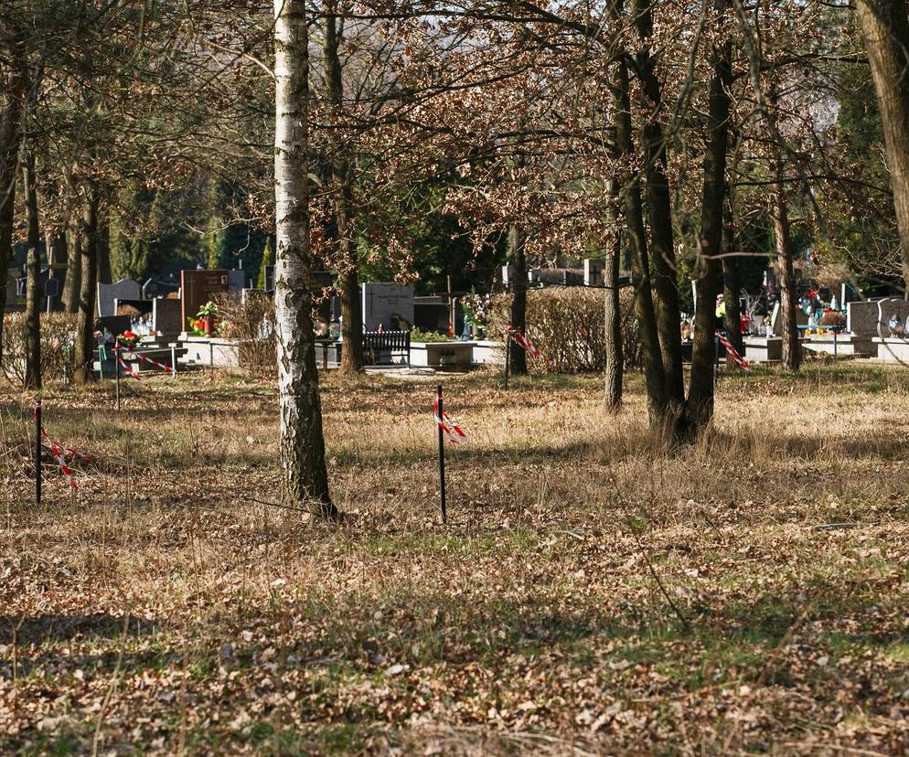 Las Pamięci na cmentarzu Szczecińska w Łodzi