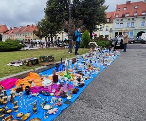 Jarmark Staroci w Wodzisławiu Śląskim
