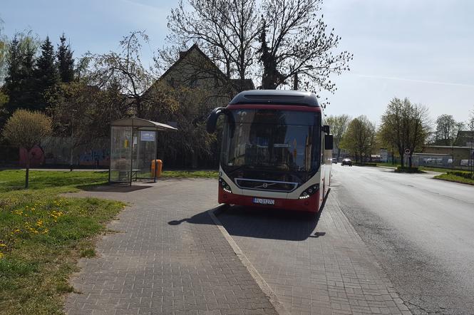 MZK w Lesznie zawiesza linie i kursy. Koronawirus rozłożył kierowców autobusów miejskich 