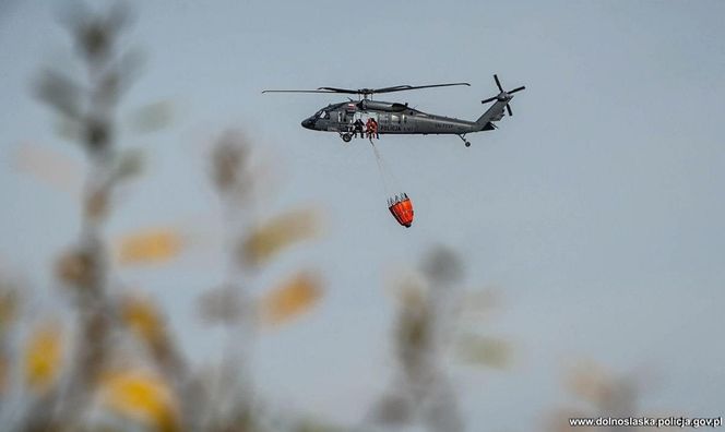 Wrocław. Ćwiczenia na terenie Portu Lotniczego im. Mikołaja Kopernika [ZDJĘCIA].