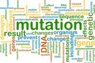 Czym jest mutacja nowotworowa?