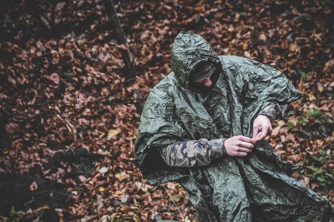 Rusza „wGotowości” – bezpłatne szkolenia obronne dla każdego Polaka. Jak się zapisać i co zyskasz?