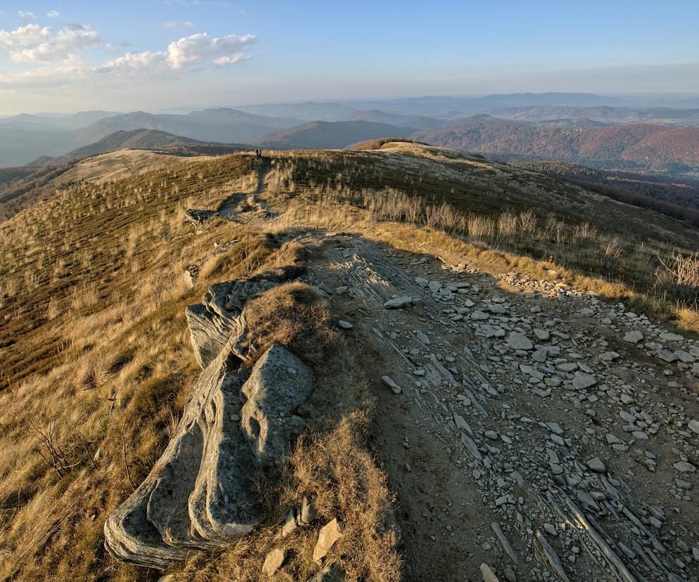 Tarnica z dzieckiem