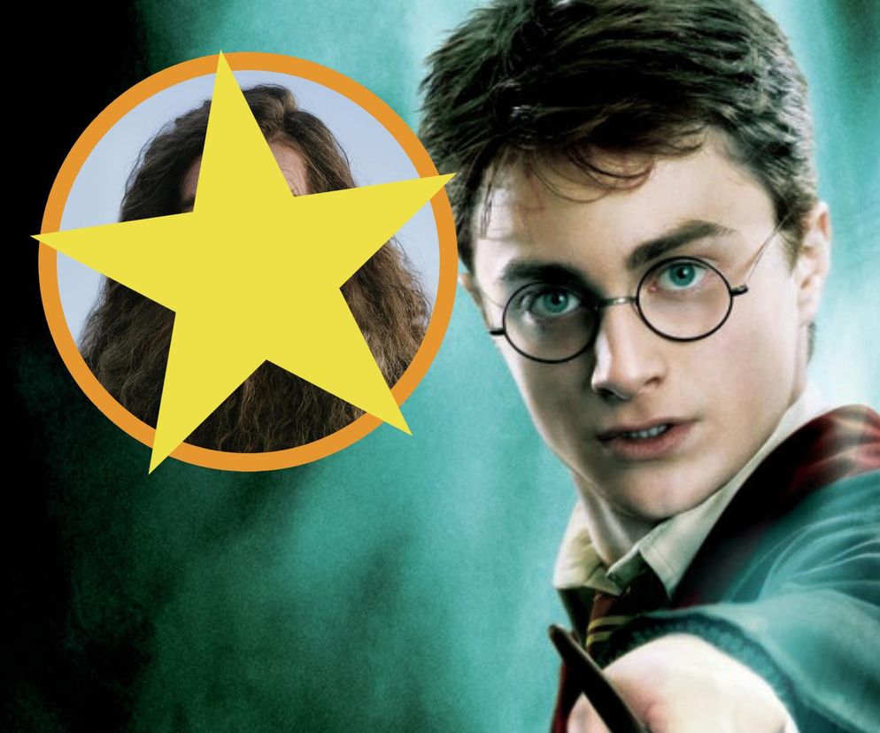 Harry Potter / Hagrid / Nick Frost