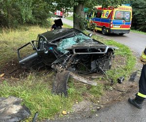 Powiat łukowski: Audi roztrzaskało się na drzewie