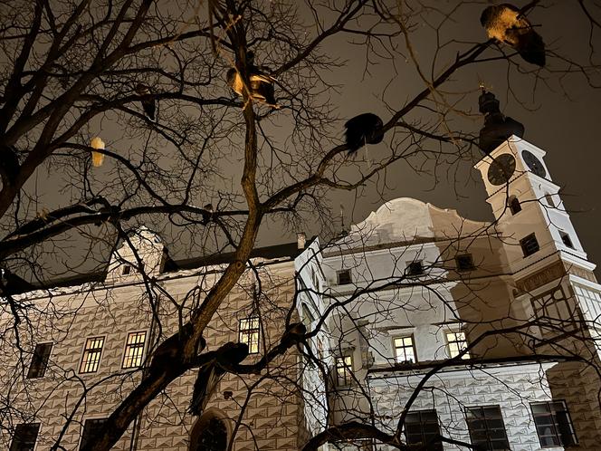 Zamek Pardubice - zdjęcia cennego zabytku Wschodnich Czech. Wnętrza, muzeum, zamek nocą