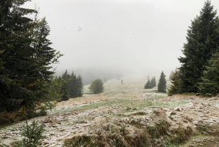 W województwie śląskim spadł pierwszy śnieg! Biały puch pojawił się w Beskidach 