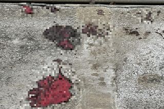 Weszła na czerwonym świetle wprost pod tramwaj. Tragiczny finał wypadku w Warszawie. Nie żyje 42-letnia kobieta