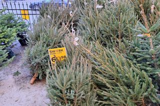 Czy w tym roku zapłacimy więcej za święta? Świąteczne ceny w Rzeszowie 