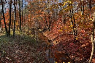 Gichta huty „Waleska” w Palowicach