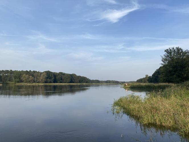 Rzeka Odra w okolicy Lasu Odrzańskiego