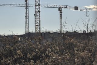 Nowy Szpital Onkologiczny we Wrocławiu rośnie w oczach