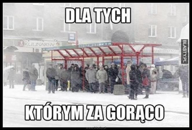 Do Polski dotarła fala gorąca. Te memy na temat upalnych dni rozbawią wszystkich do łez!